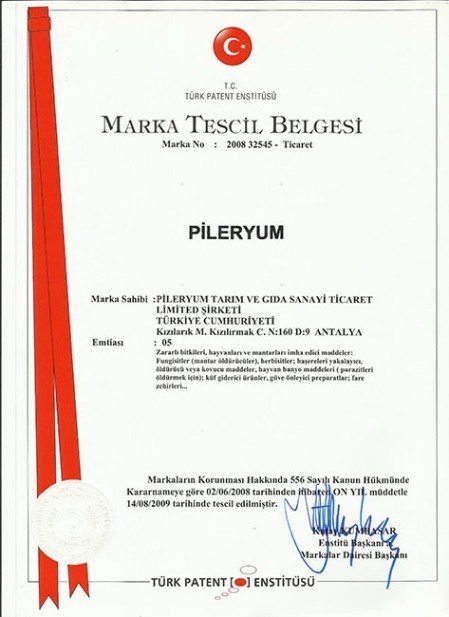 pileryum sertifika